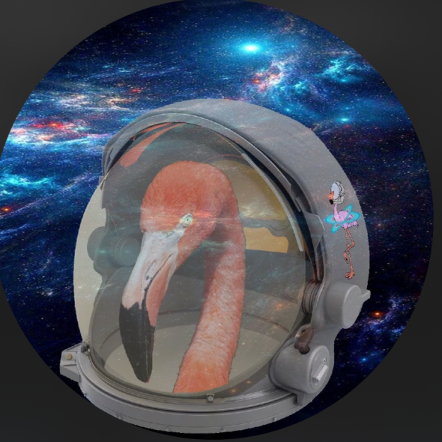 Flam Universe